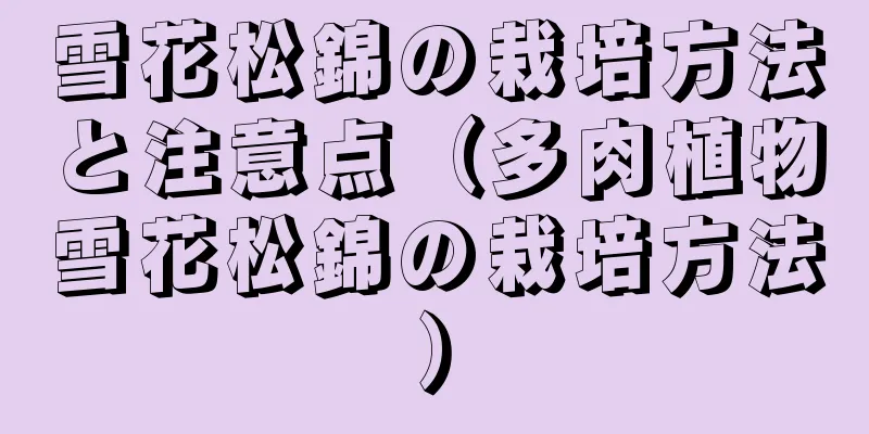 雪花松錦の栽培方法と注意点（多肉植物雪花松錦の栽培方法）