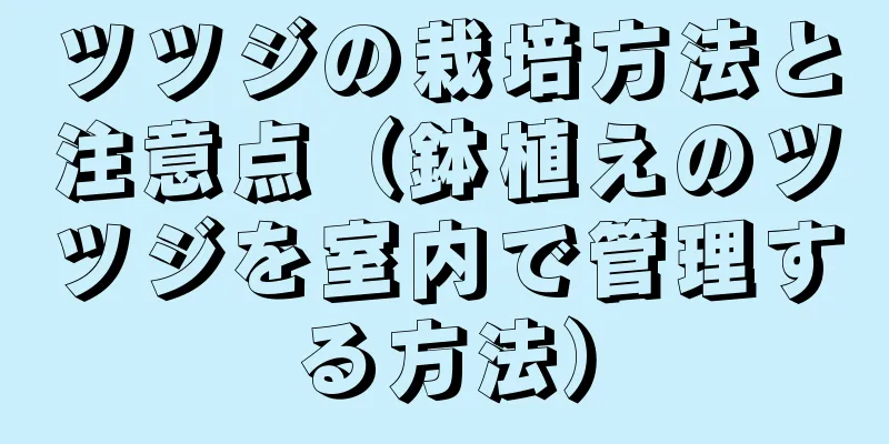 ツツジの栽培方法と注意点（鉢植えのツツジを室内で管理する方法）