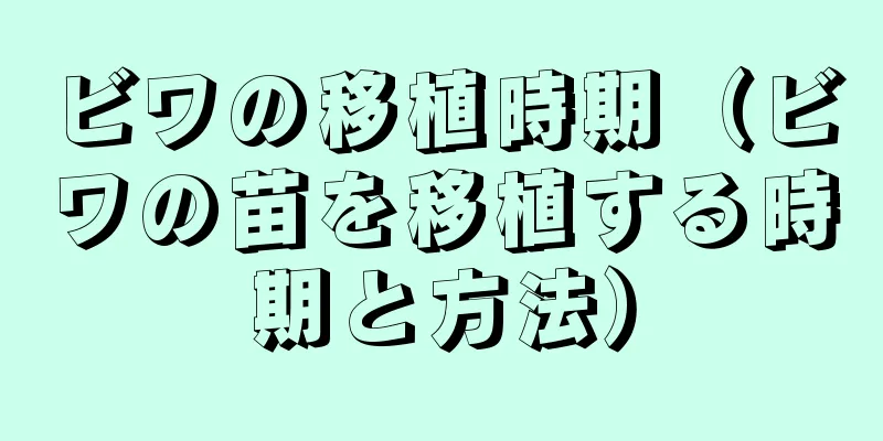 ビワの移植時期（ビワの苗を移植する時期と方法）