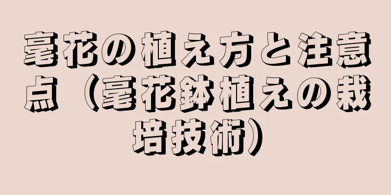 毫花の植え方と注意点（毫花鉢植えの栽培技術）