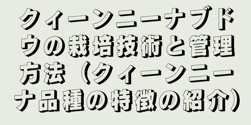 クィーンニーナブドウの栽培技術と管理方法（クィーンニーナ品種の特徴の紹介）