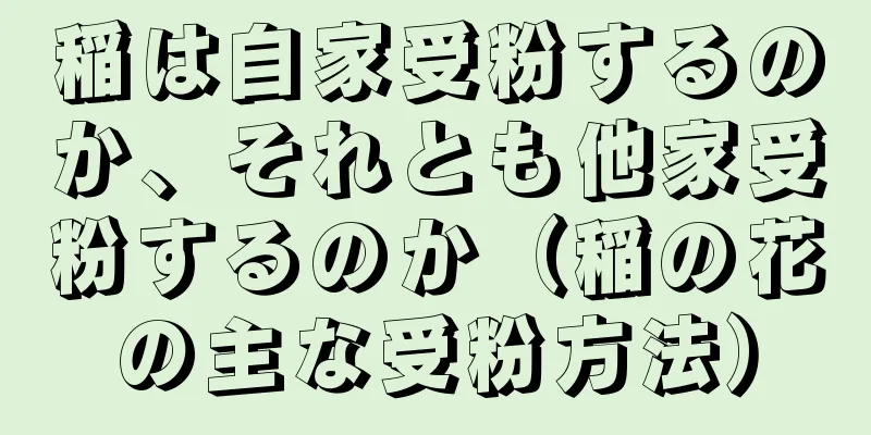 稲は自家受粉するのか、それとも他家受粉するのか（稲の花の主な受粉方法）