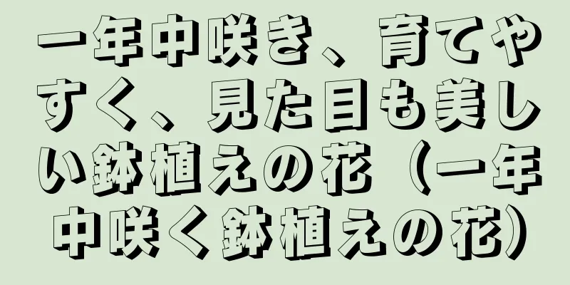 一年中咲き、育てやすく、見た目も美しい鉢植えの花（一年中咲く鉢植えの花）