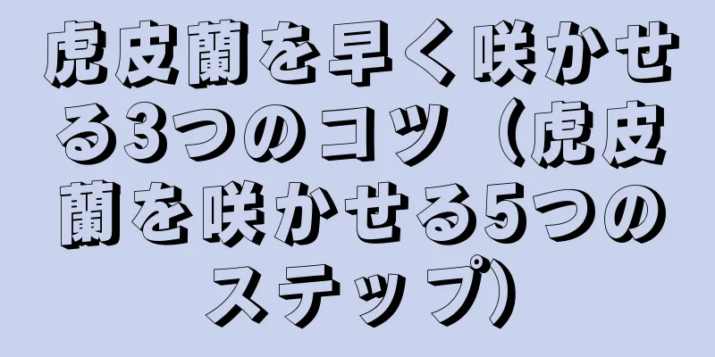 虎皮蘭を早く咲かせる3つのコツ（虎皮蘭を咲かせる5つのステップ）
