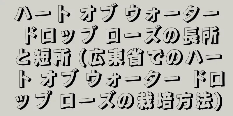 ハート オブ ウォーター ドロップ ローズの長所と短所 (広東省でのハート オブ ウォーター ドロップ ローズの栽培方法)