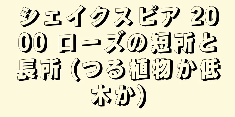 シェイクスピア 2000 ローズの短所と長所 (つる植物か低木か)