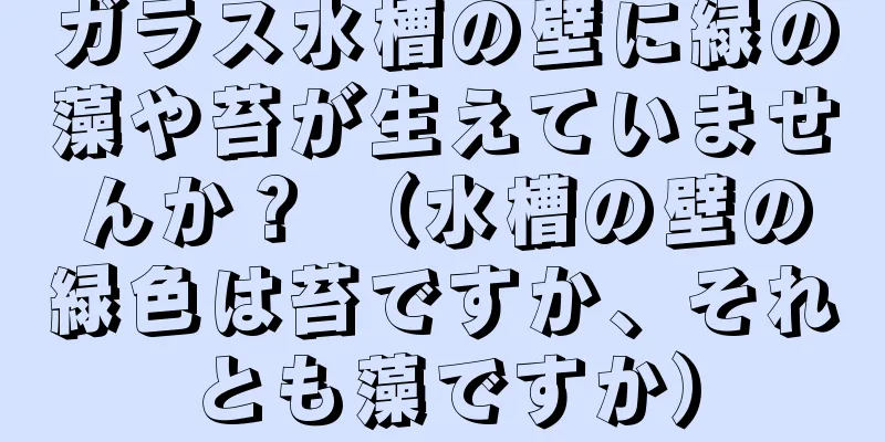ガラス水槽の壁に緑の藻や苔が生えていませんか？ （水槽の壁の緑色は苔ですか、それとも藻ですか）