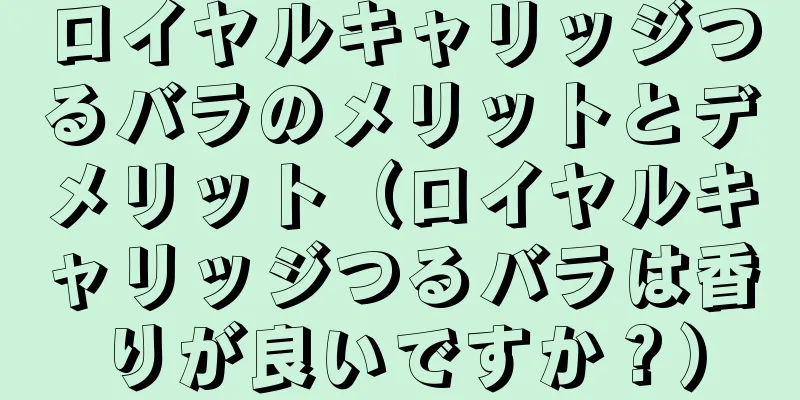 ロイヤルキャリッジつるバラのメリットとデメリット（ロイヤルキャリッジつるバラは香りが良いですか？）