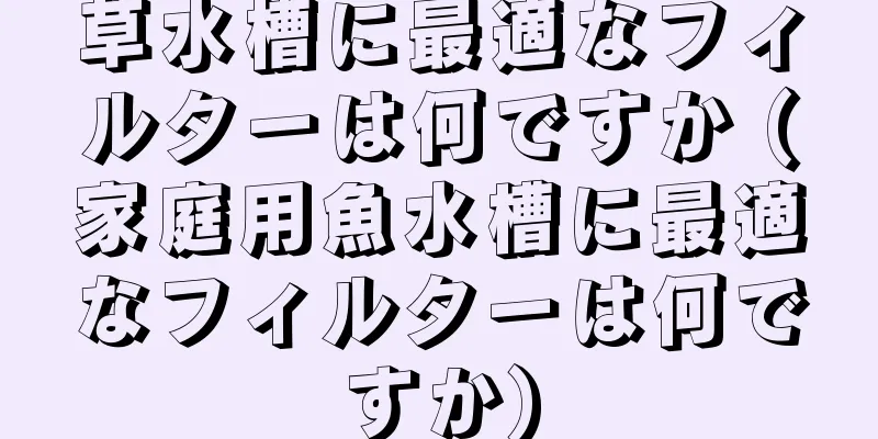 草水槽に最適なフィルターは何ですか (家庭用魚水槽に最適なフィルターは何ですか)