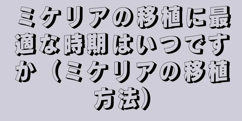 ミケリアの移植に最適な時期はいつですか（ミケリアの移植方法）