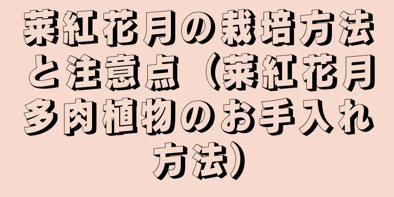 莱紅花月の栽培方法と注意点（莱紅花月多肉植物のお手入れ方法）