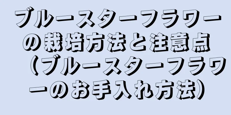 ブルースターフラワーの栽培方法と注意点（ブルースターフラワーのお手入れ方法）