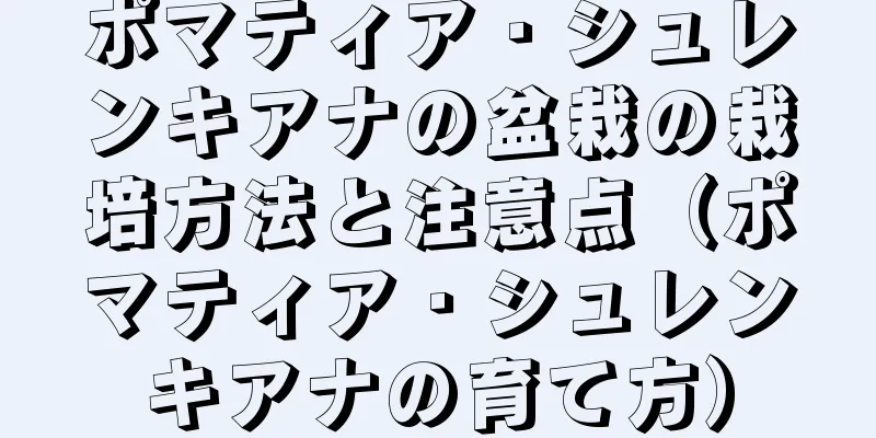 ポマティア・シュレンキアナの盆栽の栽培方法と注意点（ポマティア・シュレンキアナの育て方）