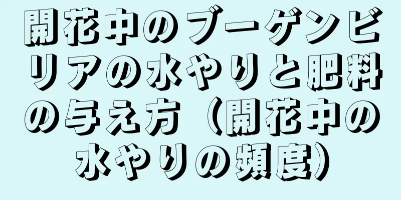 開花中のブーゲンビリアの水やりと肥料の与え方（開花中の水やりの頻度）