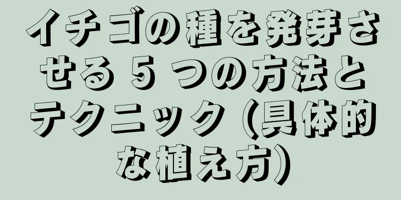 イチゴの種を発芽させる 5 つの方法とテクニック (具体的な植え方)