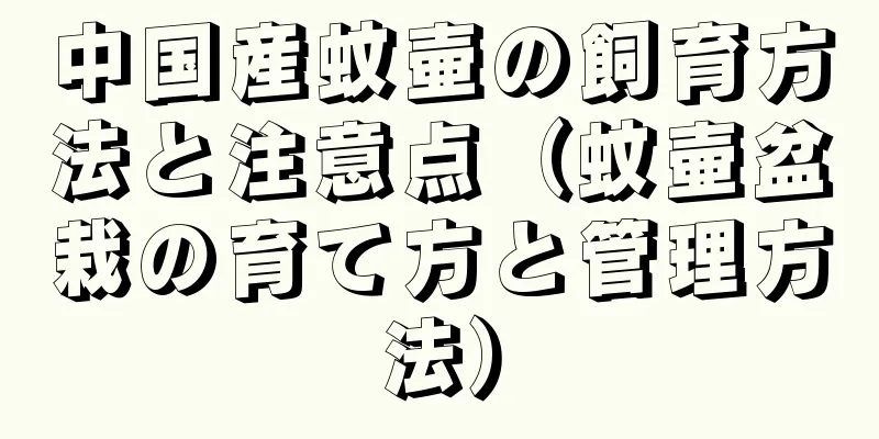 中国産蚊壷の飼育方法と注意点（蚊壷盆栽の育て方と管理方法）