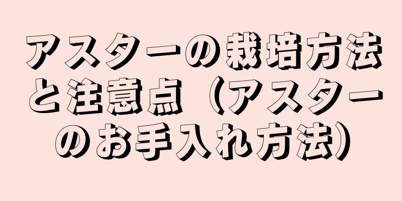 アスターの栽培方法と注意点（アスターのお手入れ方法）