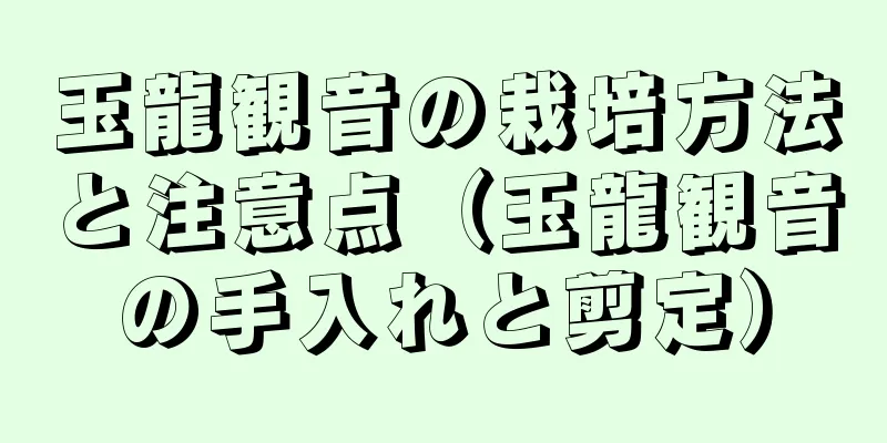 玉龍観音の栽培方法と注意点（玉龍観音の手入れと剪定）