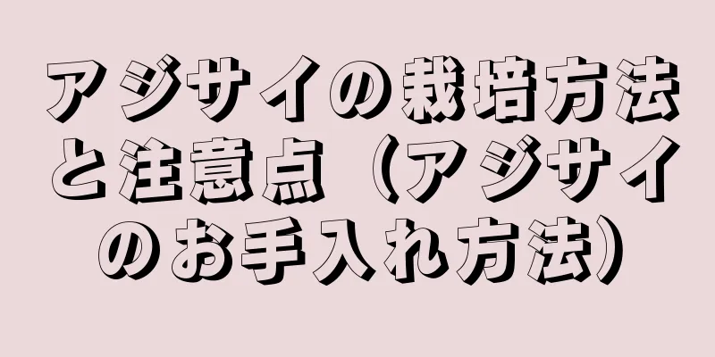 アジサイの栽培方法と注意点（アジサイのお手入れ方法）