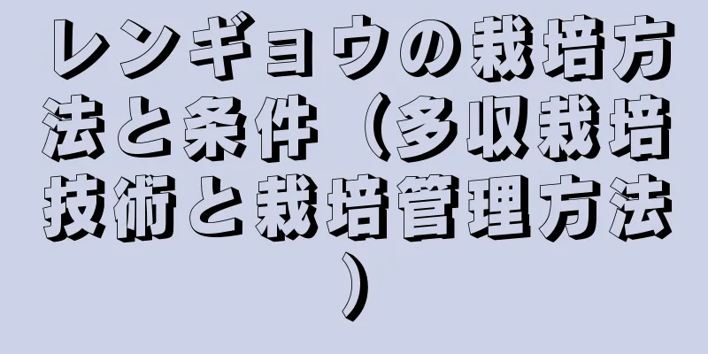 レンギョウの栽培方法と条件（多収栽培技術と栽培管理方法）