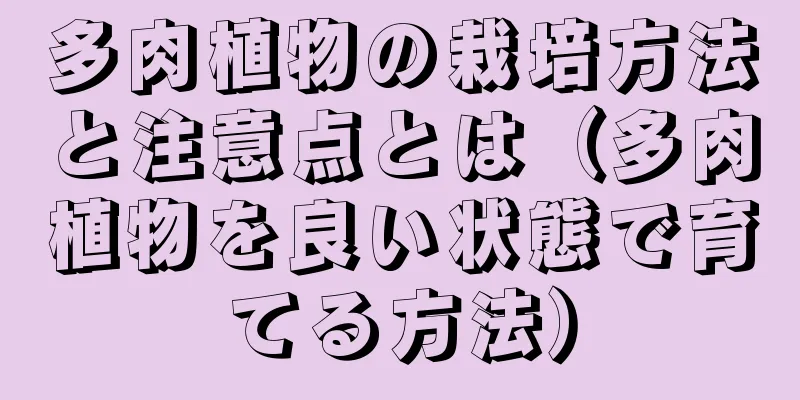 多肉植物の栽培方法と注意点とは（多肉植物を良い状態で育てる方法）