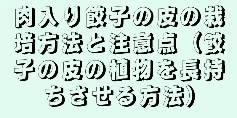 肉入り餃子の皮の栽培方法と注意点（餃子の皮の植物を長持ちさせる方法）