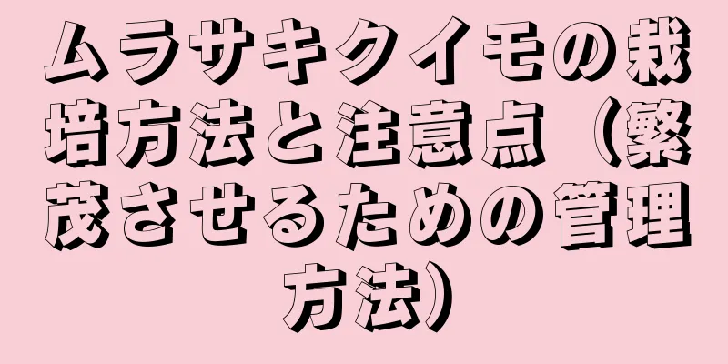 ムラサキクイモの栽培方法と注意点（繁茂させるための管理方法）