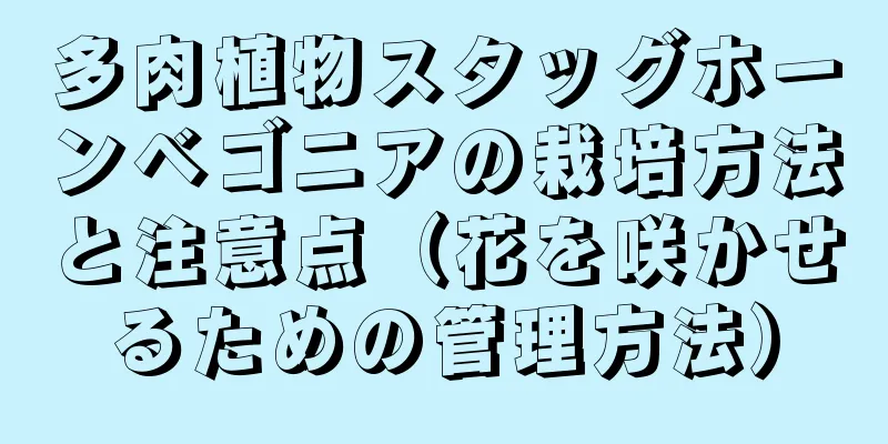 多肉植物スタッグホーンベゴニアの栽培方法と注意点（花を咲かせるための管理方法）