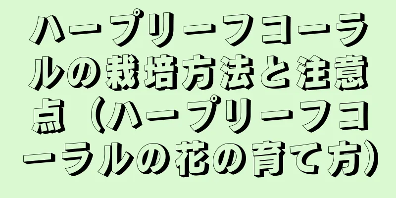 ハープリーフコーラルの栽培方法と注意点（ハープリーフコーラルの花の育て方）