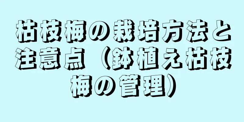 枯枝梅の栽培方法と注意点（鉢植え枯枝梅の管理）