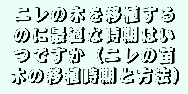 ニレの木を移植するのに最適な時期はいつですか（ニレの苗木の移植時期と方法）