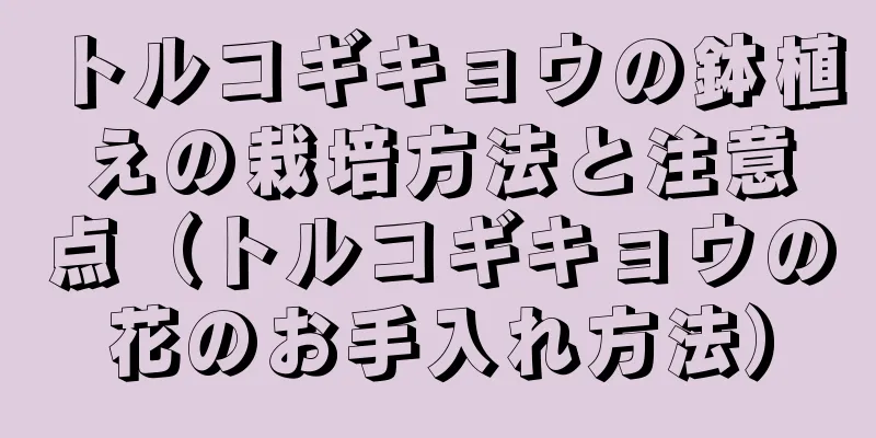 トルコギキョウの鉢植えの栽培方法と注意点（トルコギキョウの花のお手入れ方法）