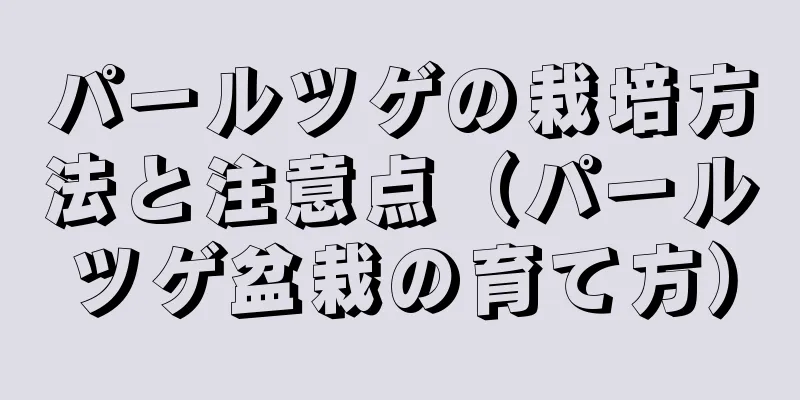 パールツゲの栽培方法と注意点（パールツゲ盆栽の育て方）
