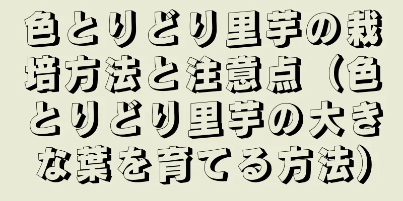 色とりどり里芋の栽培方法と注意点（色とりどり里芋の大きな葉を育てる方法）