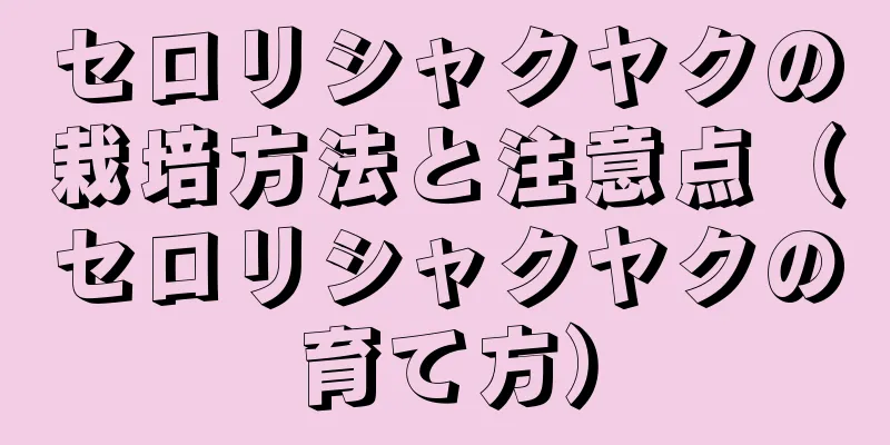 セロリシャクヤクの栽培方法と注意点（セロリシャクヤクの育て方）