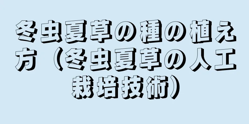 冬虫夏草の種の植え方（冬虫夏草の人工栽培技術）