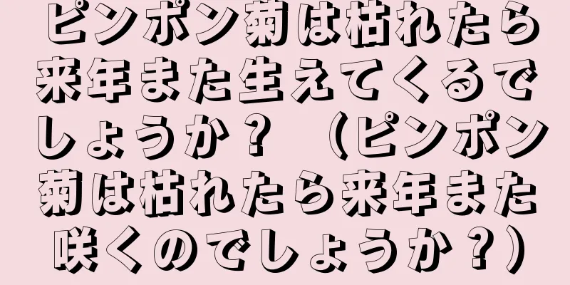 ピンポン菊は枯れたら来年また生えてくるでしょうか？ （ピンポン菊は枯れたら来年また咲くのでしょうか？）
