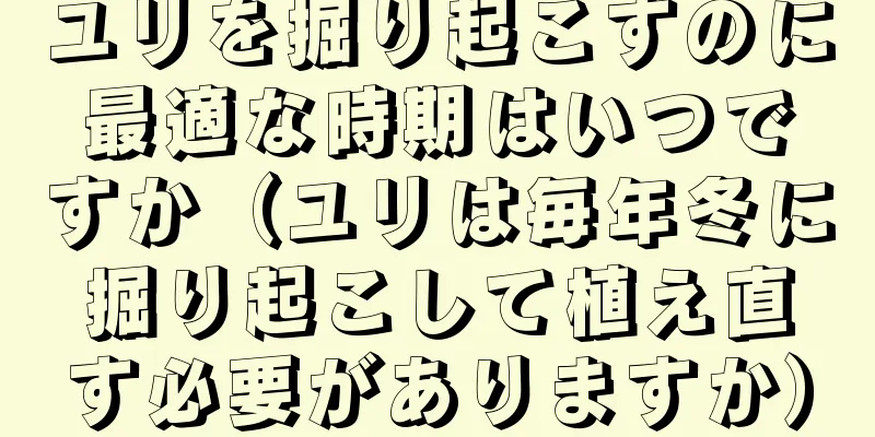 ユリを掘り起こすのに最適な時期はいつですか（ユリは毎年冬に掘り起こして植え直す必要がありますか）