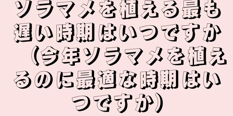 ソラマメを植える最も遅い時期はいつですか（今年ソラマメを植えるのに最適な時期はいつですか）