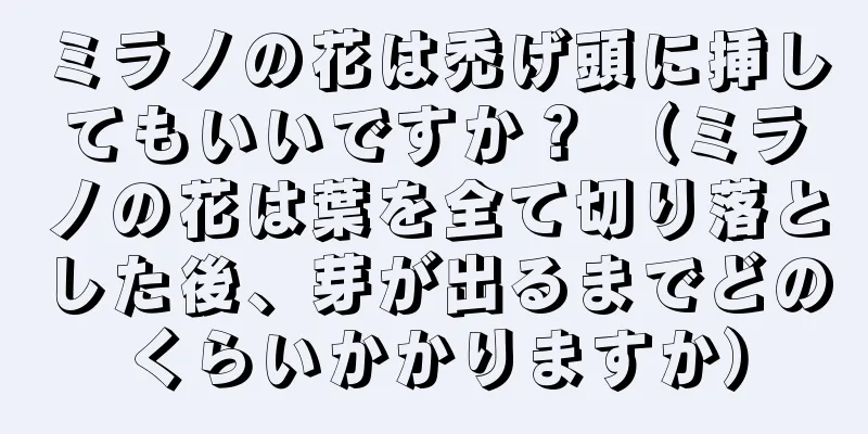 ミラノの花は禿げ頭に挿してもいいですか？ （ミラノの花は葉を全て切り落とした後、芽が出るまでどのくらいかかりますか）