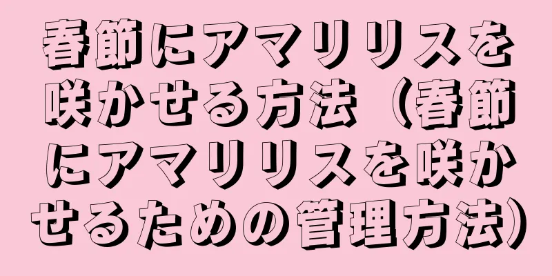 春節にアマリリスを咲かせる方法（春節にアマリリスを咲かせるための管理方法）