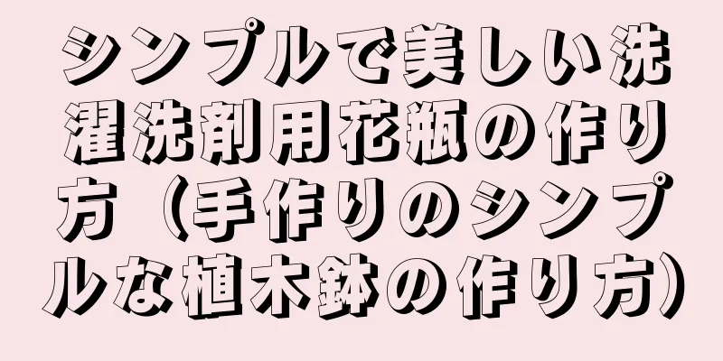 シンプルで美しい洗濯洗剤用花瓶の作り方（手作りのシンプルな植木鉢の作り方）