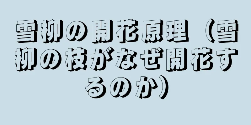 雪柳の開花原理（雪柳の枝がなぜ開花するのか）