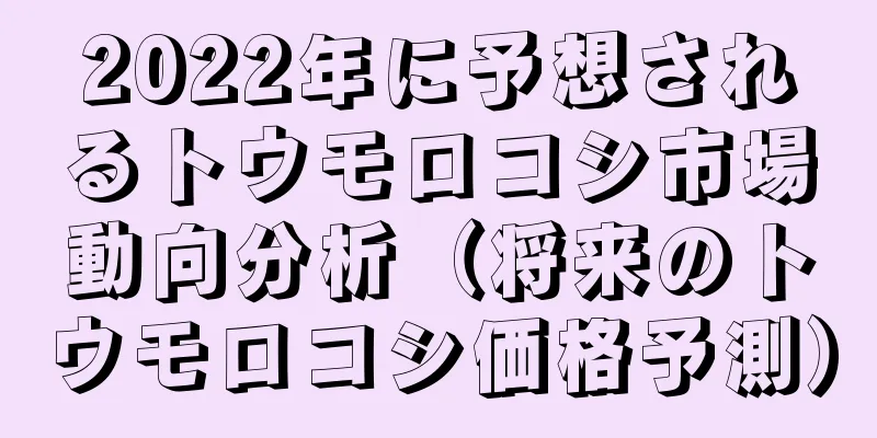 2022年に予想されるトウモロコシ市場動向分析（将来のトウモロコシ価格予測）