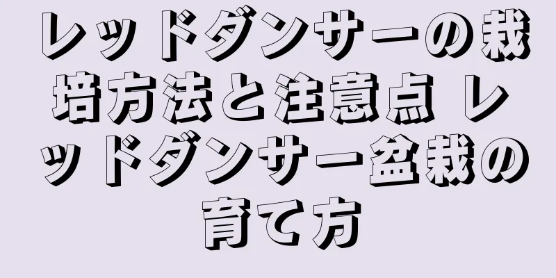 レッドダンサーの栽培方法と注意点 レッドダンサー盆栽の育て方