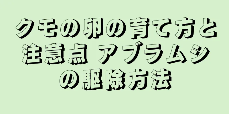 クモの卵の育て方と注意点 アブラムシの駆除方法