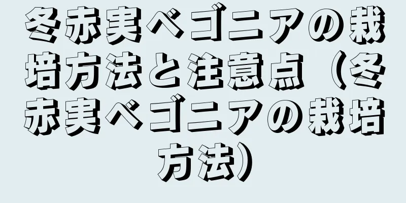冬赤実ベゴニアの栽培方法と注意点（冬赤実ベゴニアの栽培方法）
