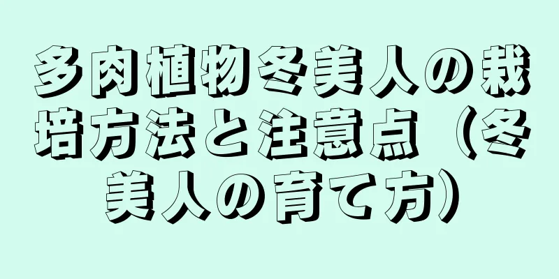 多肉植物冬美人の栽培方法と注意点（冬美人の育て方）