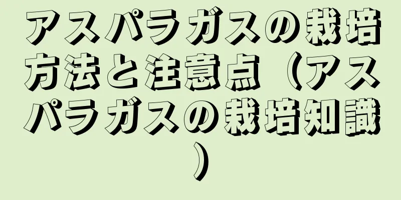 アスパラガスの栽培方法と注意点（アスパラガスの栽培知識）