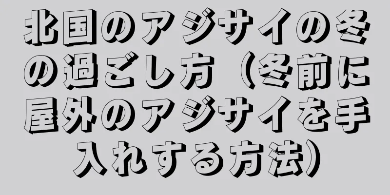 北国のアジサイの冬の過ごし方（冬前に屋外のアジサイを手入れする方法）